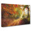 Autumn Forest Painting - Wrapped Canvas-56654654