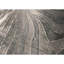 Area Rug in Gray