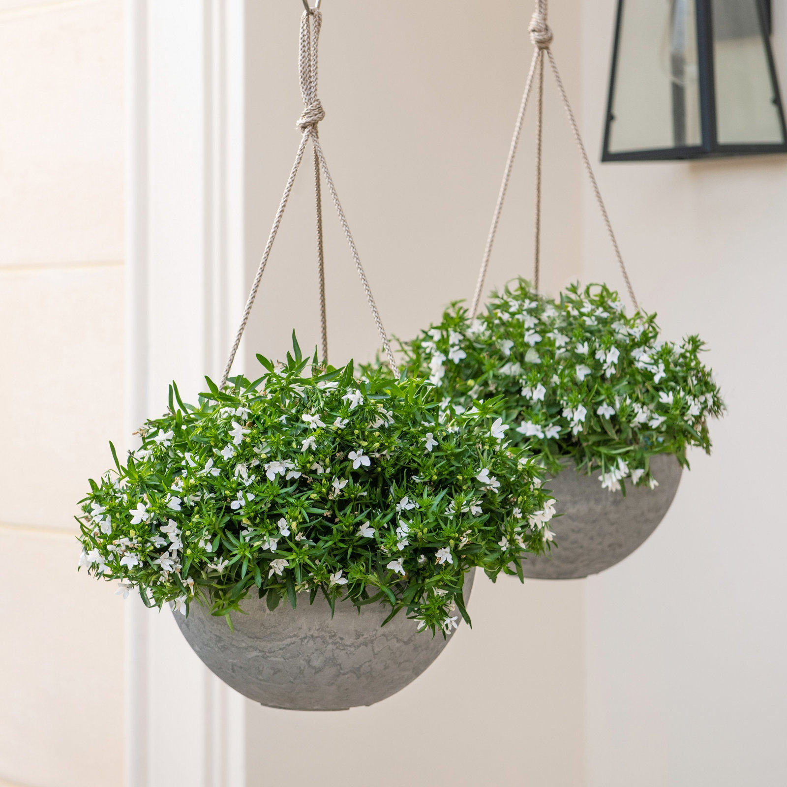 Boxdale 13" Hanging Planter, Marble, 4.7" H x 10" W x 10" D