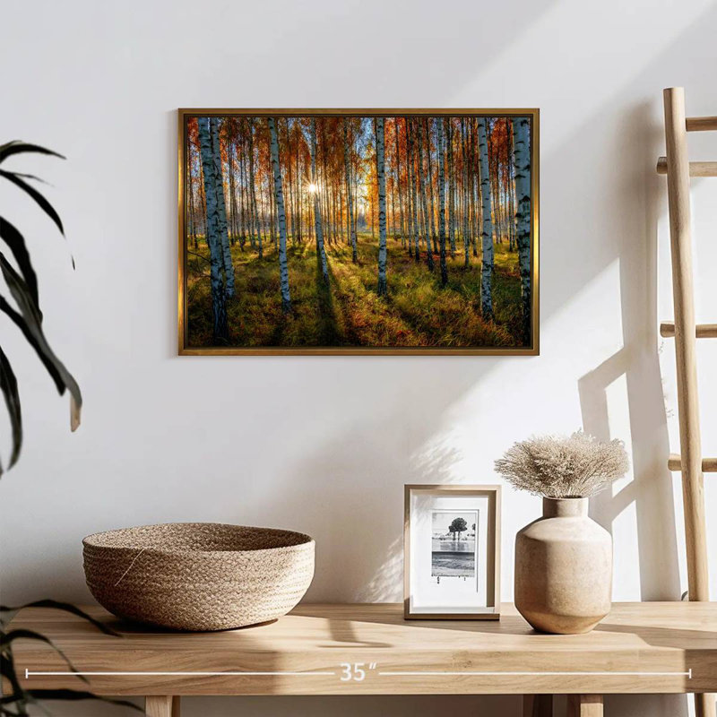 Forêt de bouleaux suédois, Cadre flottant doré, 19 po x 13 po