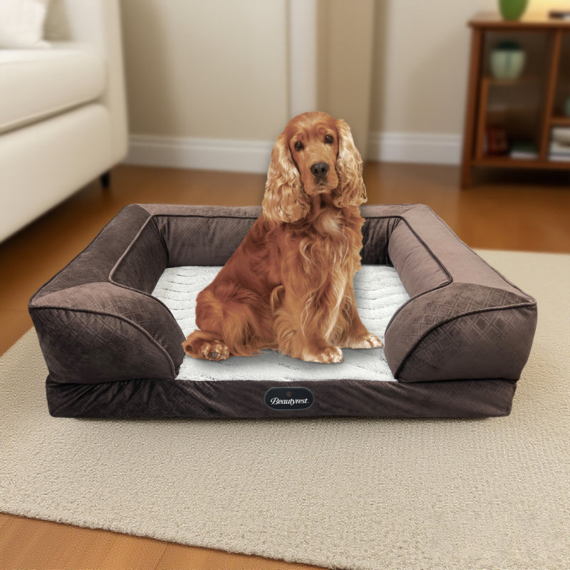 Lit pour animaux Supreme Comfort Couch, Très grand (l 43 po x P 30 po x H 10 po), Brun