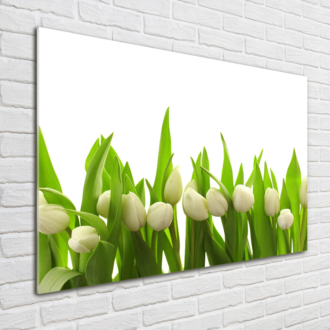 Glasbild White Tulips