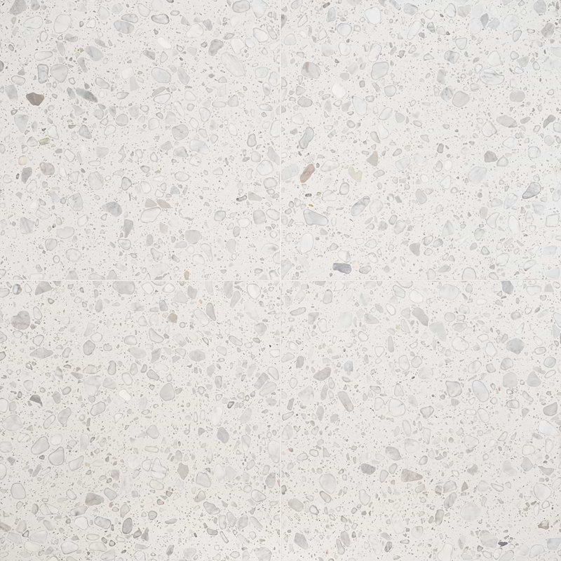 Terrazzo Italy Sacra 24x24 Honed Marble Tile, Sacra Bianco White