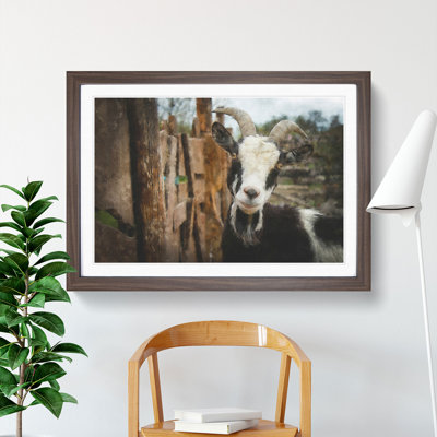 Goat Vol.1 - Picture Frame Painting