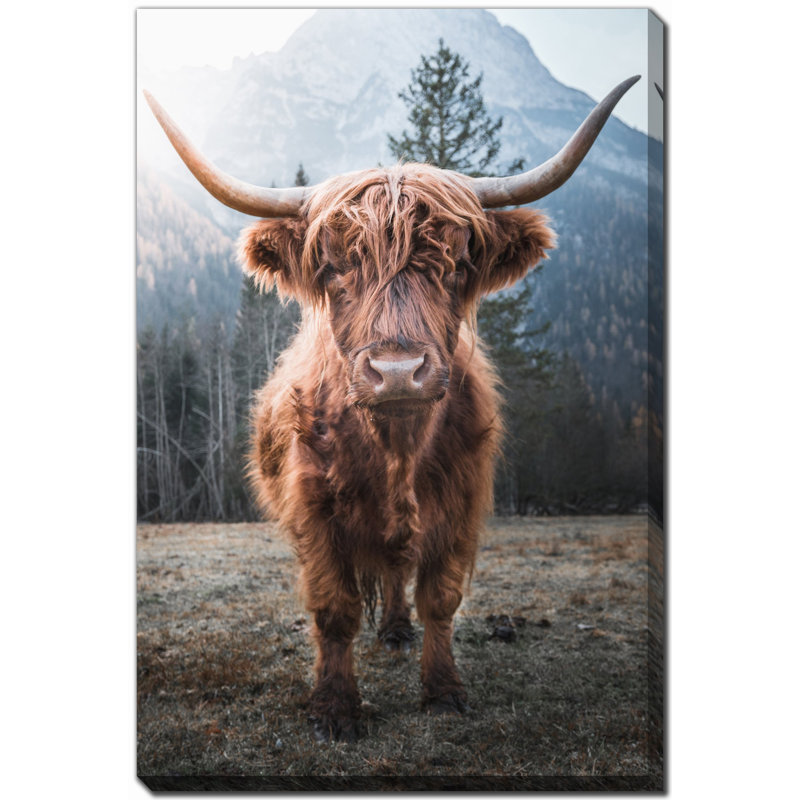 Art sur toile Horned Highland, H 28 po x l 22 po