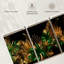 Harnek Leaves-106045021