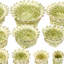 Paniers pratiques en fibres naturelles