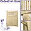 Sacha Gate Fencing-1064855052