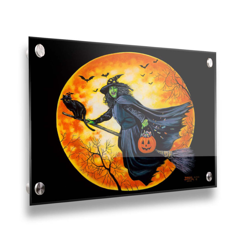 «Moonlight Flight» par Robert Andrea, Sans cadre en plastique / acrylique, H 8 po x l 10 po x P 1 po