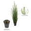 Herbe verte artificielle en pot et eucalyptus.-1411198753