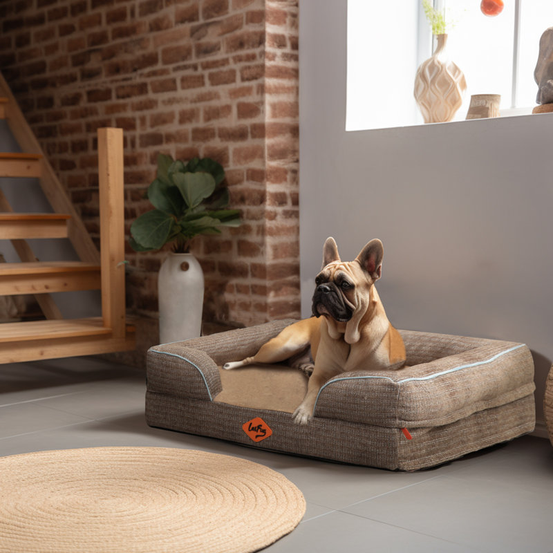 Canapé pour chien en mousse à mémoire de forme Laifug, lit moyen, avec doublure imperméable et housse amovible lavable, Brun
