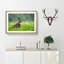 Lone Hare - Picture Frame Painting Print-56633562-56633563