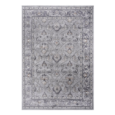 /Grey 5X7 Area Rug - Non-Shedding And Fashionable For Living Room, Bedroom, Dining Room Stylish