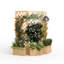 Metal Planter-728788619