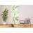 Stonehouse Non-Pasted Floral Wall Mural