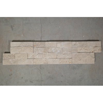 6 tuiles murales 6 x 24