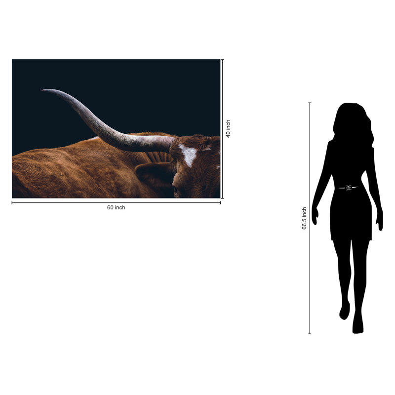 Art mural en verre trempé sans cadre Texas Longhorn - 40 po x 60 po