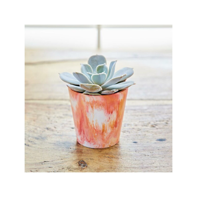 Pot Planter, Multicoloured