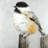 Coal Tit Bird Tablecloth - Gray Animals Indoor Outdoor Decor