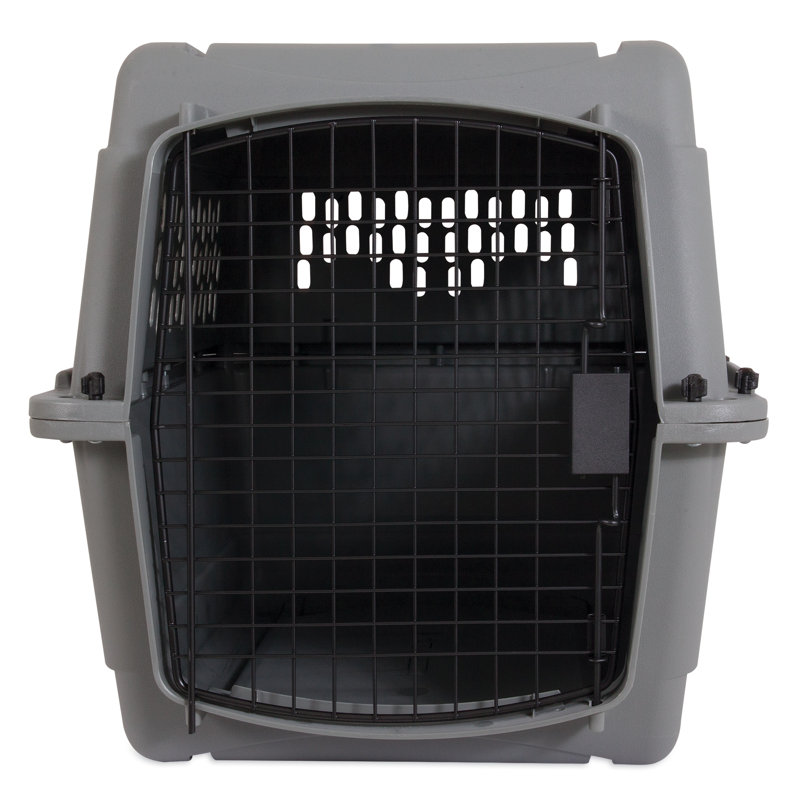 Transporteur traditionnel pour animaux Jaquez, H 20,5 po x l 20 po x P 28 po