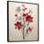 Black Floater Framed