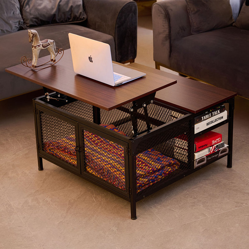 Table basse multifonctionnelle à plateau relevable avec rangement pour le salon