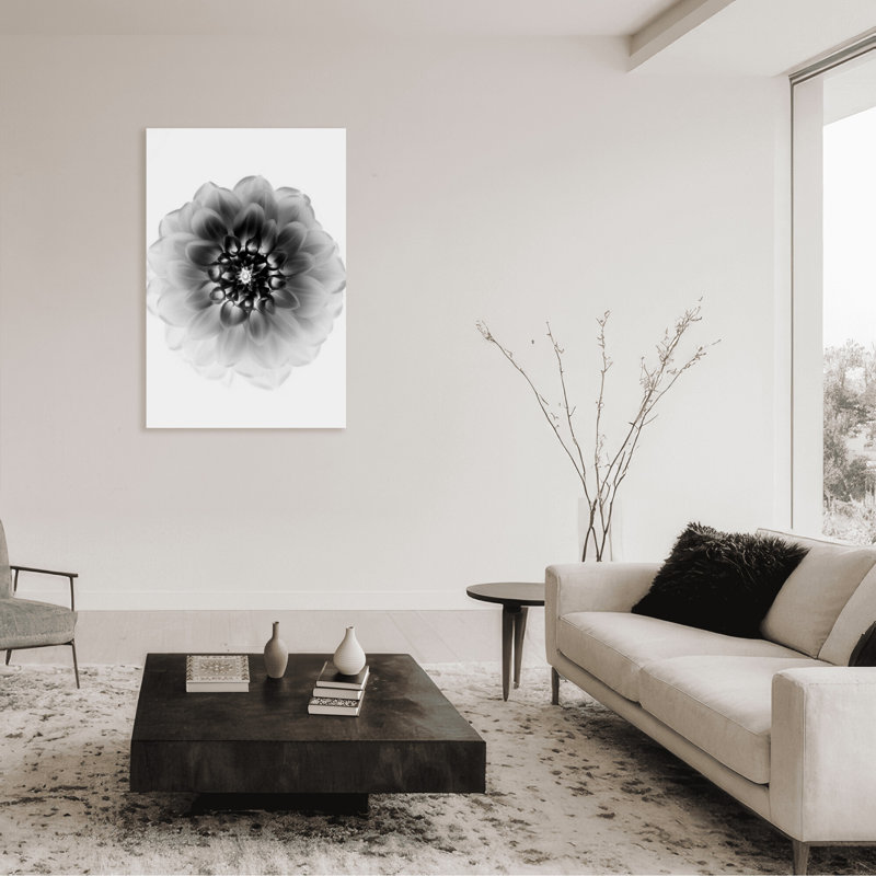 X-Ray Print by Alex Zhao, 36" H x 24" W x 1.5" D, Wrapped Canvas, Does Not Apply