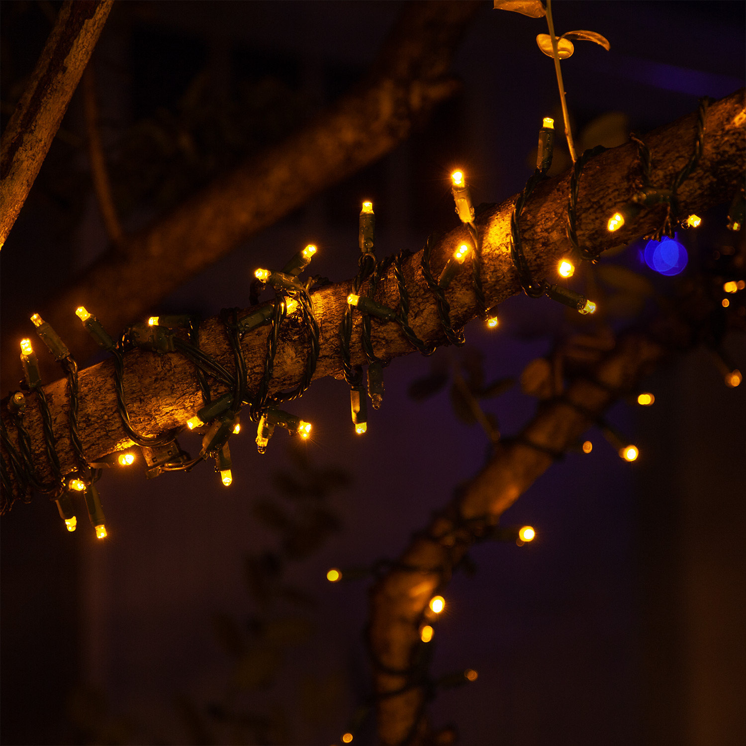 17' LED Twinkle String Lights, Gold