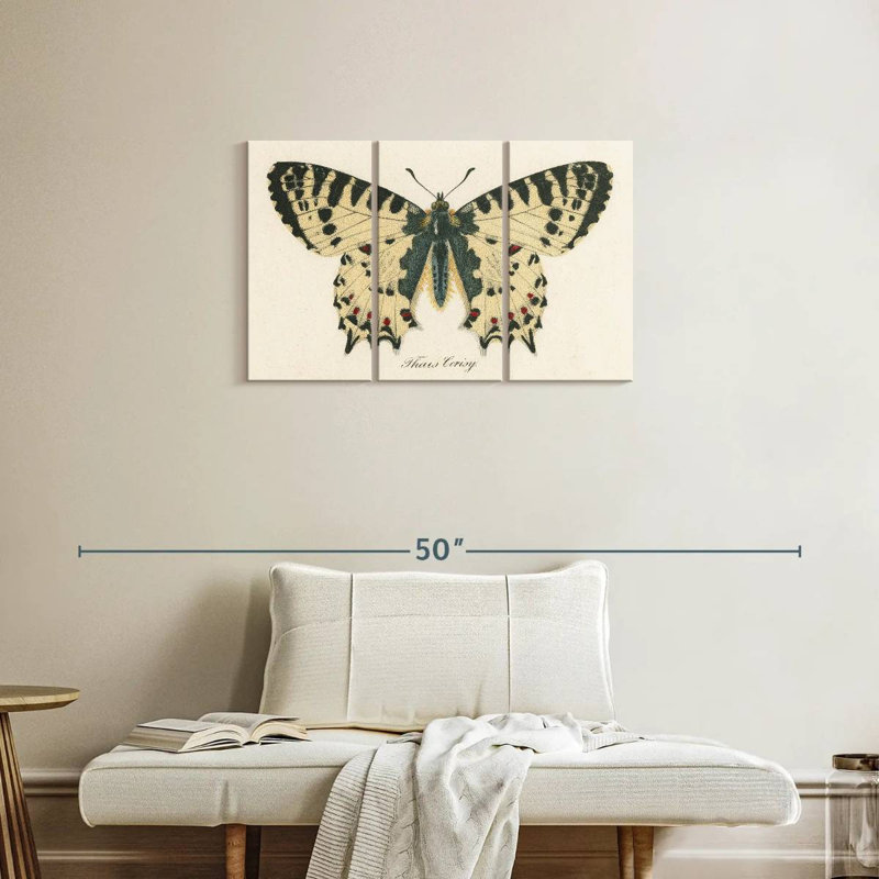 Brampt Natures Butterfly I, 20" H x 33" W