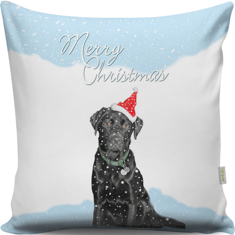 Dorinda Cotton Blend Throw Square Pillow Cover & Insert