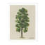 Meadow Tree Print by Tim Klein