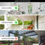 41" Dagny 6-Blade Dual Ceiling Fan with Wall Remote-773958790-775908378