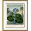 Thornton's Botanicals 1 Framed Print