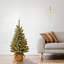 The Holiday Aisle® Snowy Concolor Fir Tree with LED Lights-88089314