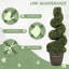 90cm Plant-181279297