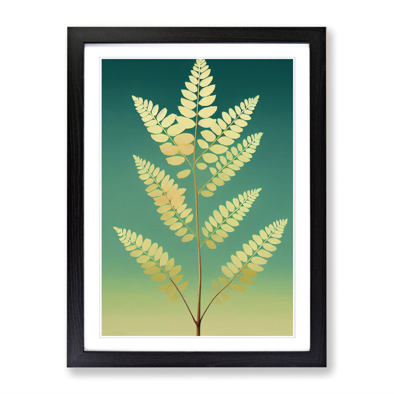 Fern Leaf Single - Single Picture Frame Print, Black, 64cm H x 46cm W x 2cm D