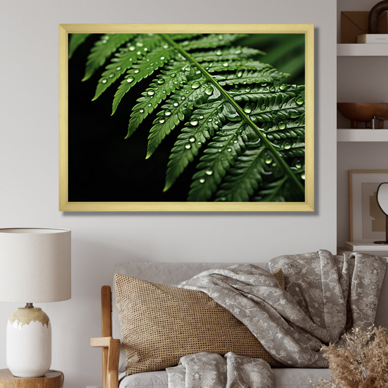 Ferns Serene Resilience - Imprimé, Cadre doré simple, H 16 po x l 32 po x P 1 po