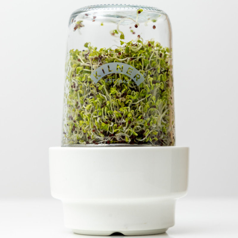 Sprouting Set