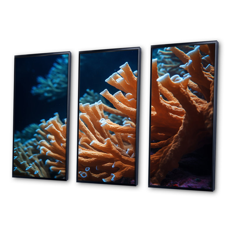 Ensemble de décoration murale orange corail sous l'eau - corail sous l'eau, Cadre flottant noir, H 40 po x l 60 po x P 1 po