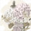 Plants & Flowers Canvas Wall Decor
