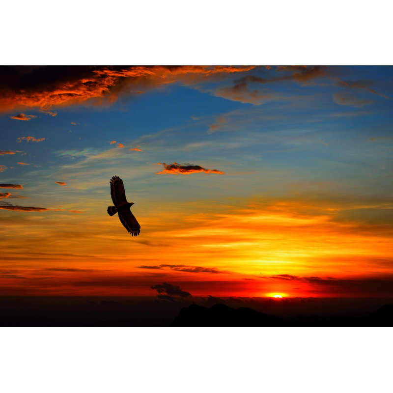 " Flying Eagle In Sunset ", 48" W x 32" H  