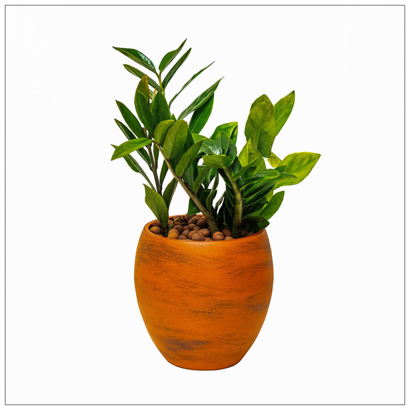 Delcina Smart Self-watering Round Planter Pot for Indoor and Outdoor - Terracotta Painted, Terracotta