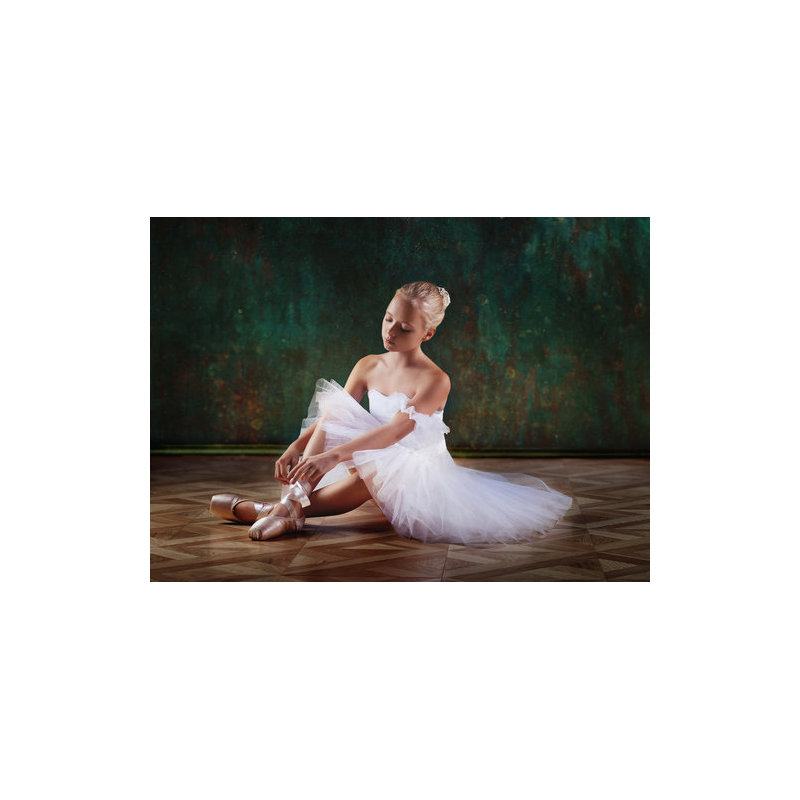Wrapped Canvas Print, 60.96 cm H x 91.44 cm W