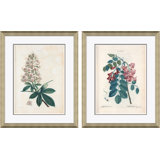 Aesculus Hippocastorum & Bristly Locust Giclee Print by Paul Cezanne