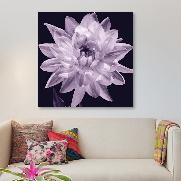 « white dahlia i », impression sur toile, H 12 po x l 12 po x p 0,75 po, Toile tendue, Pas de tapis