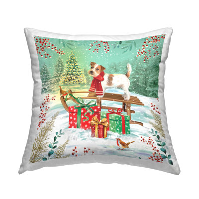 Throw Pillow
