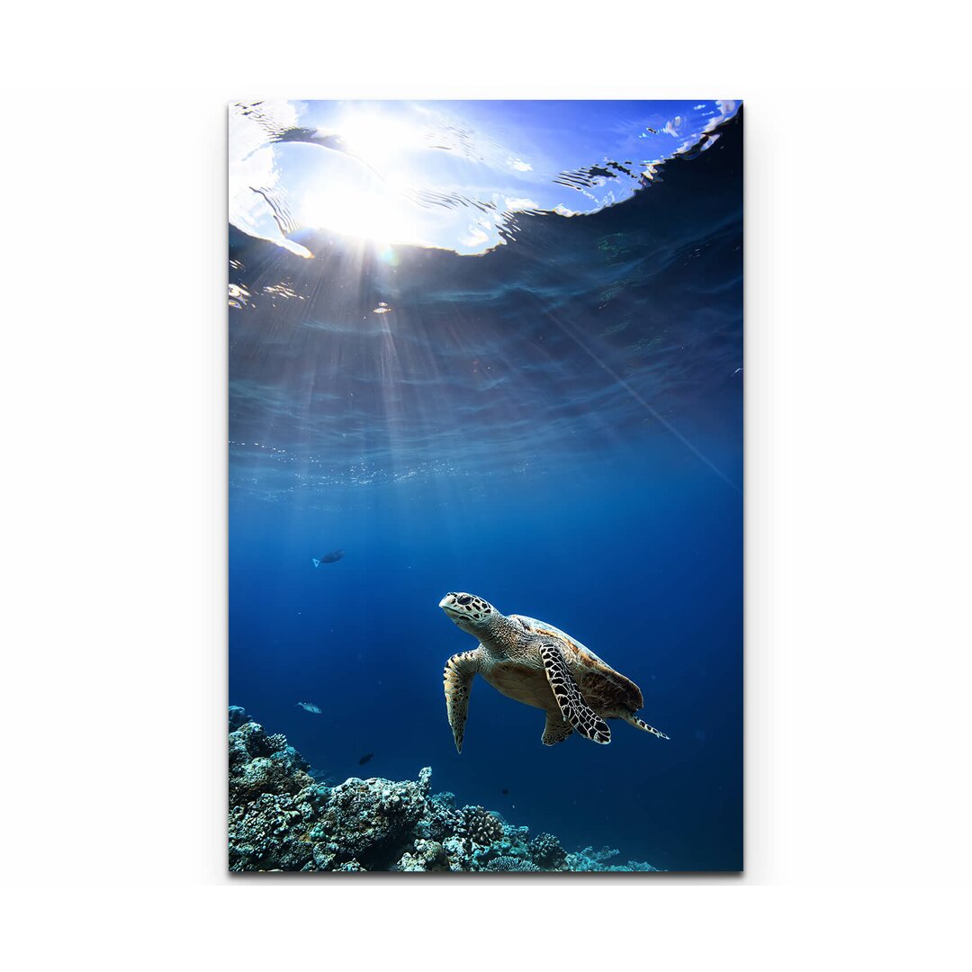 Leinwandbild Sea Turtle