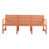 Apricot Brown