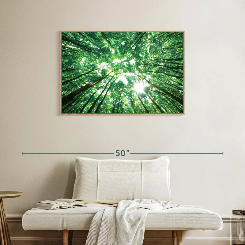 Auvent forêt, Cadre flottant en bois naturel, 37 po x 25 po