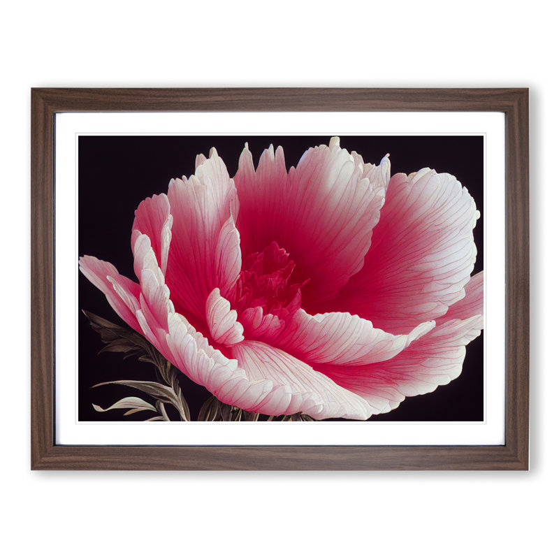 Admirable Carnation Flower 1 Piece Single Picture Frame Wall Art, 46cm H x 64cm W x 2cm D, Walnut
